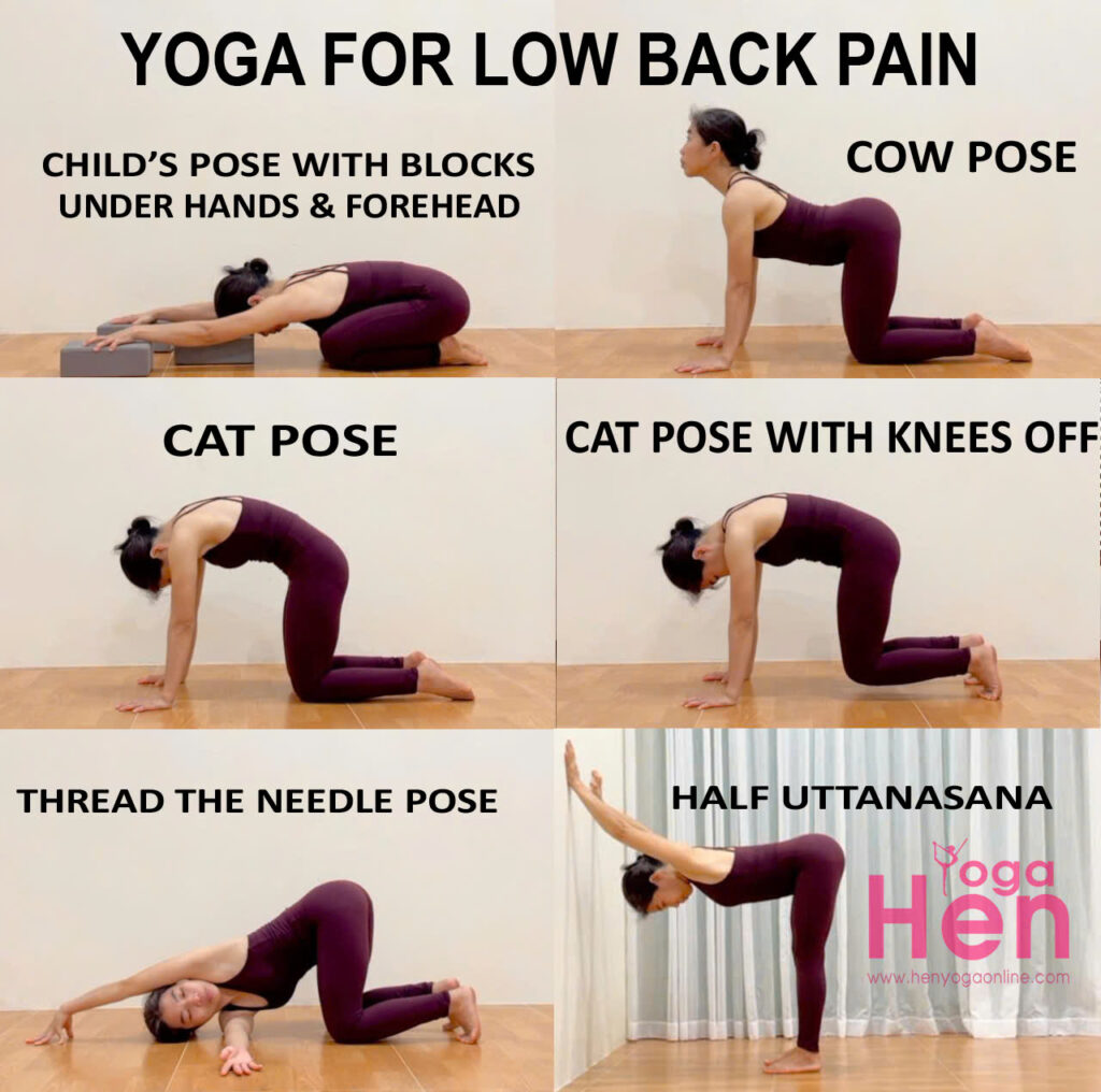 yoga for low back pain